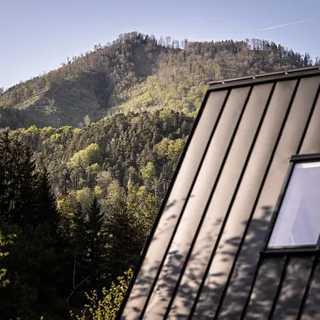 Apartment Nowhere - Nationalpark Kalkalpen Ramsau am Dachstein